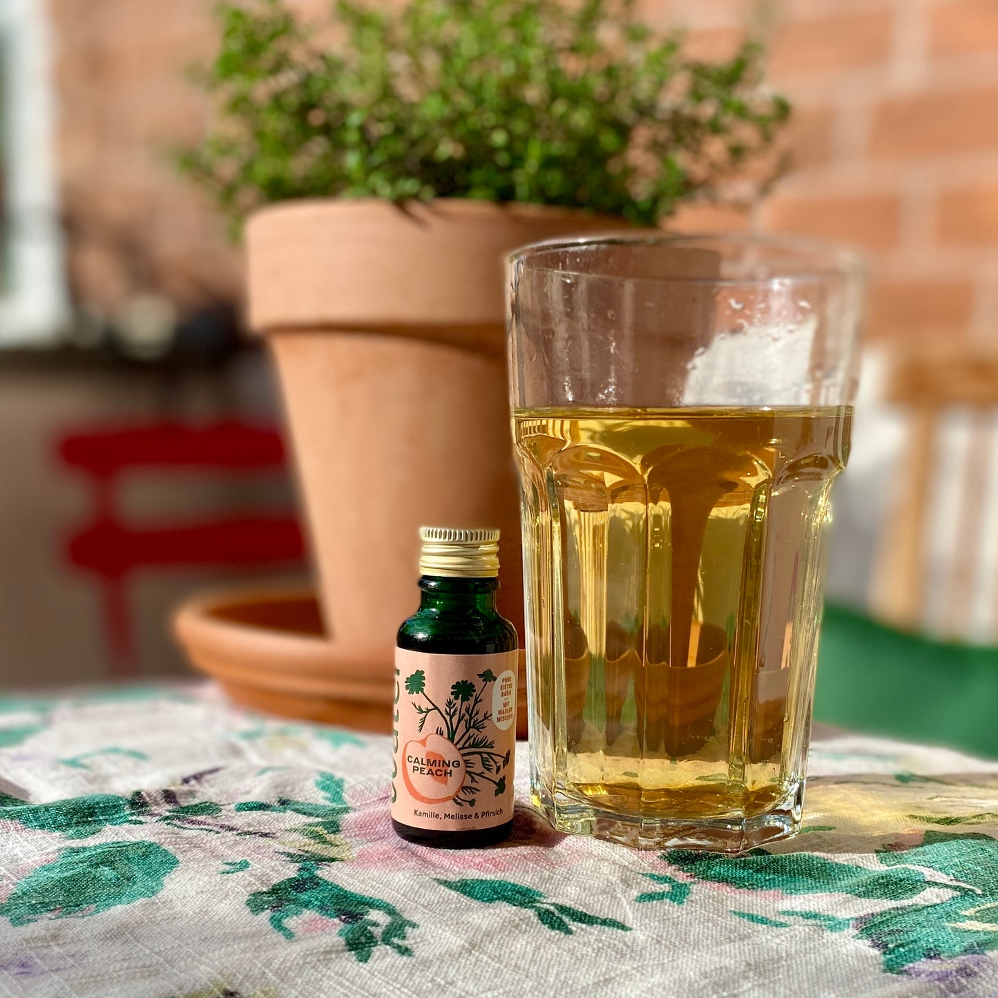 Unser Wild&Water Mini-Probierset